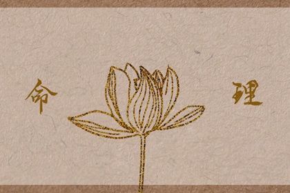 老皇历择吉日查询|择吉皇历(最新版本)|择吉皇历一万年历